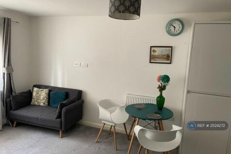Spacious Living Room 