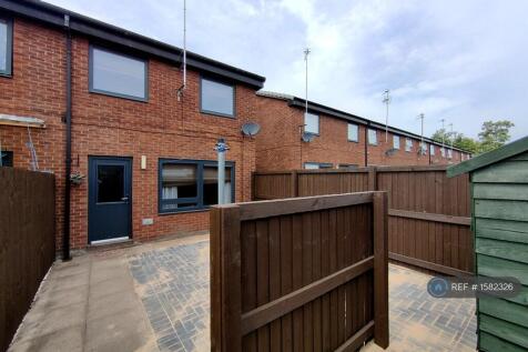Rear Garden-3