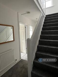 Downstairs Hallway