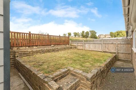 Back Garden
