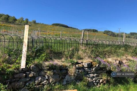 View Behind From Garden