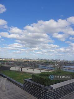 Rooftop Viewing 