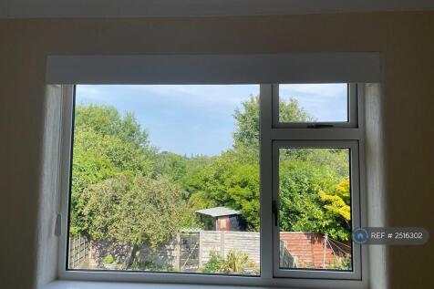 View From Back Bedroom Window