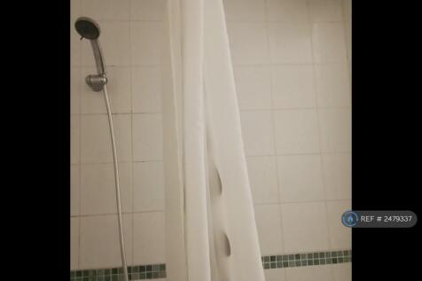 Bath With Shower Over