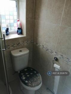Downstairs Bathroom1