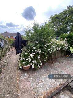 Back Garden