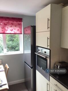 Kitchen View 