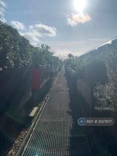 Decking Area
