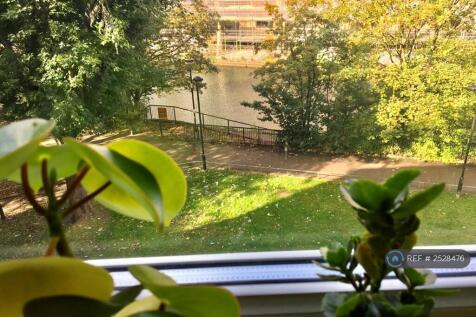 View From Window 