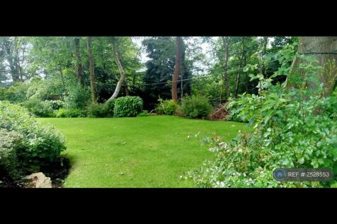 Back Garden 