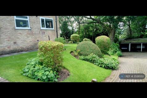 Side Garden 