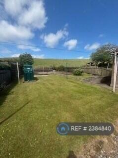 Back Garden