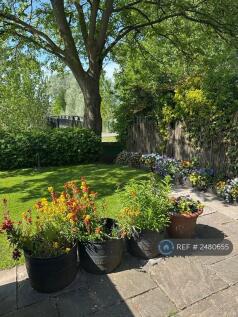 Beautiful Garden View Looking Right