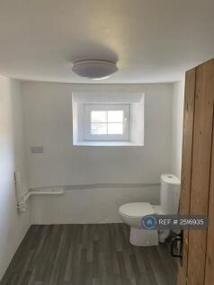 Downstairs Utility / Toilet
