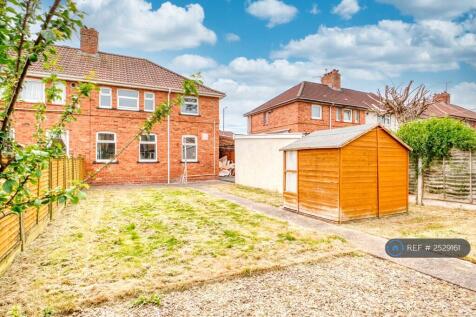 Back Garden