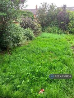 Back Garden