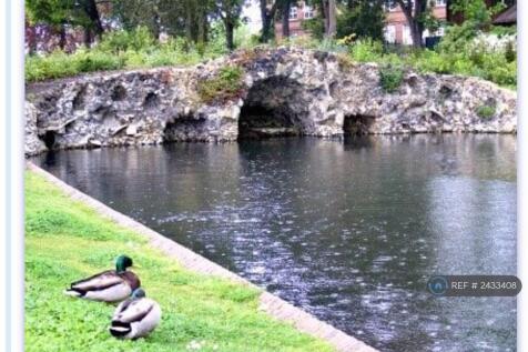 Valentine Park 1