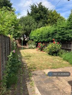 Garden With Wooden Shed 