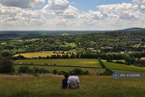 Pewley Down