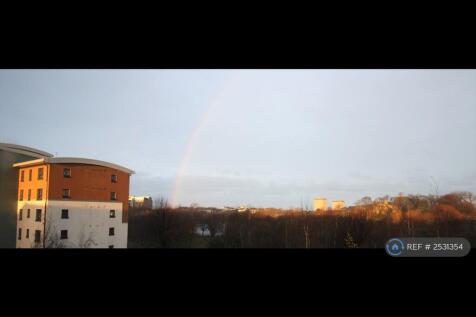 View From Bedroom