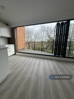 Bifolds/ Terrace