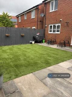 Back Garden