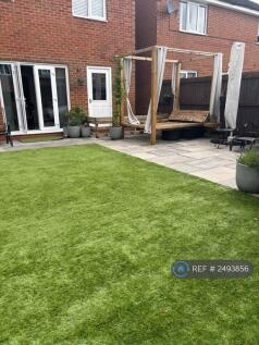 Back Garden