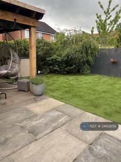 Back Garden