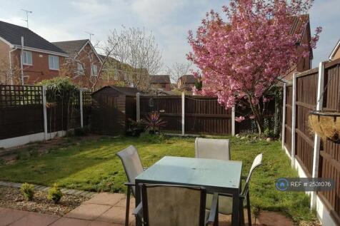 Garden- Back