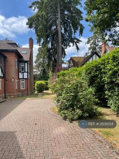 Rear Gardens