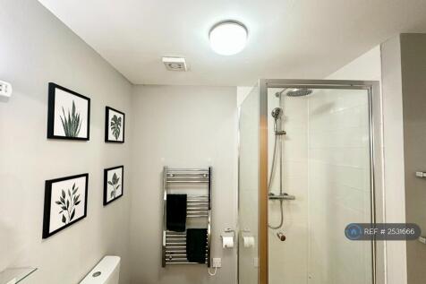 Rainfall Shower Head