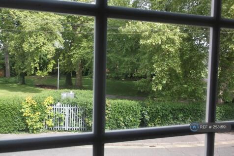 View Into Park