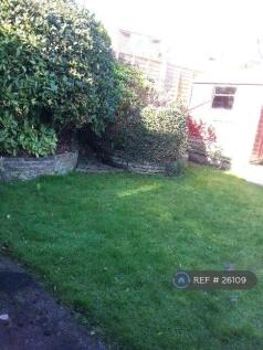 Back Garden