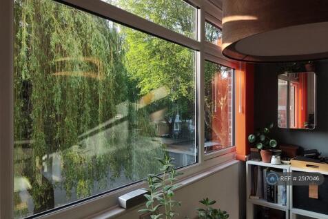 Willow From Large Kitchen Window