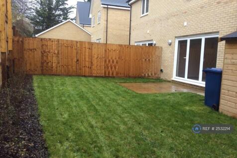 Patio And Garden