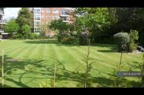 Communal Garden