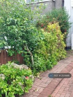 Front Planted Borders