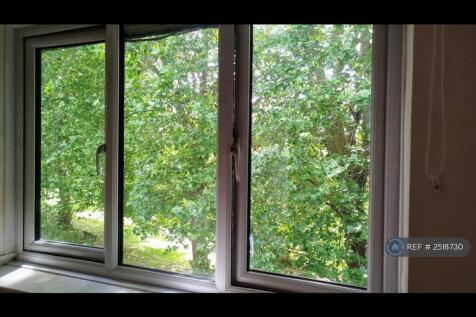 View From Living Room Window 