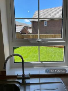 View From Kitchen Sink