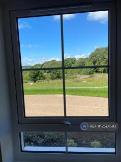 View From Kitchen Front Window