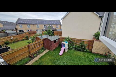 Back Garden