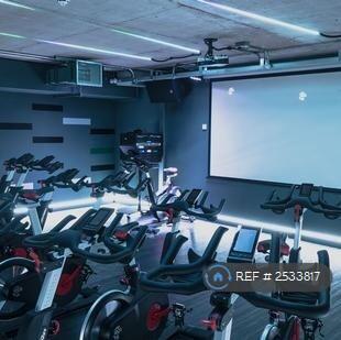 Gym 3