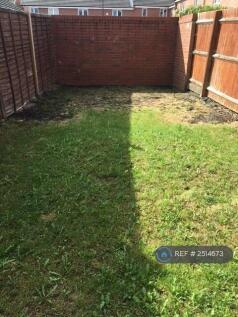 Back Garden