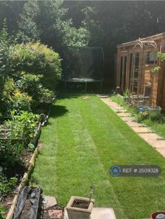 South Facing Garden