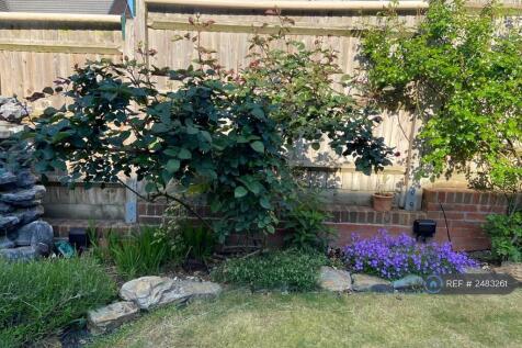 Landscaped Back Garden