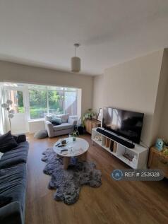 Rear Lounge