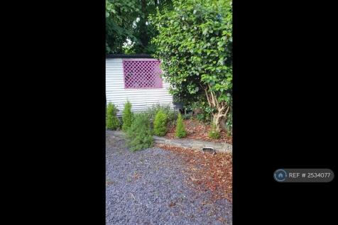 Garden And Shed
