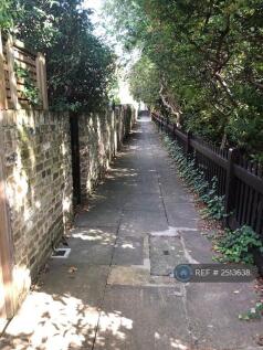 Alley At The Back Of The Building