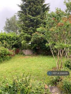 Back Garden