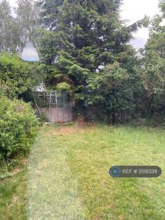 Back Garden